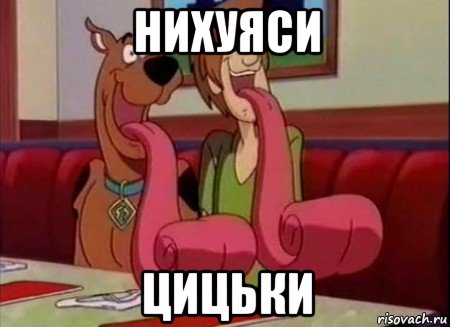 нихуяси цицьки