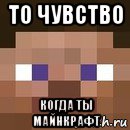 то чувство когда ты майнкрафт, Мем стив