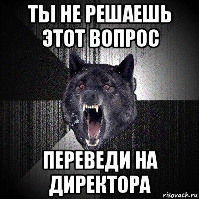 ты не решаешь этот вопрос переведи на директора, Мем Сумасшедший волк