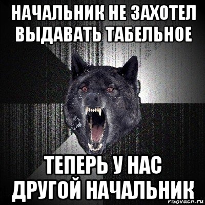 начальник не захотел выдавать табельное теперь у нас другой начальник, Мем Сумасшедший волк