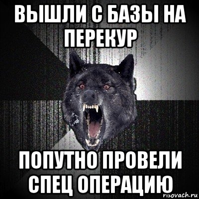 вышли с базы на перекур попутно провели спец операцию, Мем Сумасшедший волк