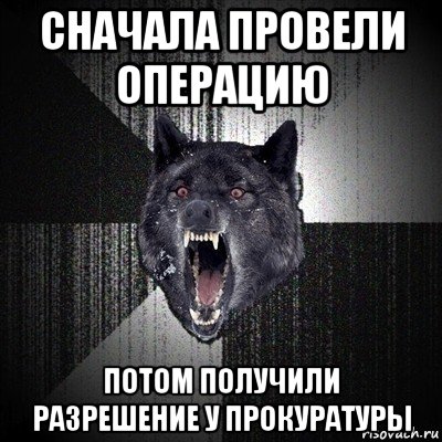 сначала провели операцию потом получили разрешение у прокуратуры, Мем Сумасшедший волк