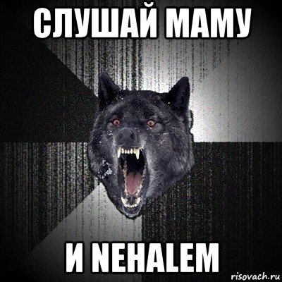 слушай маму и nehalem, Мем Сумасшедший волк