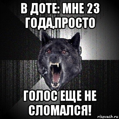 в доте: мне 23 года,просто голос еще не сломался!, Мем Сумасшедший волк