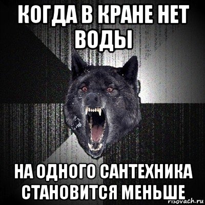 когда в кране нет воды на одного сантехника становится меньше, Мем Сумасшедший волк