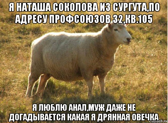 я наташа соколова из сургута,по адресу профсоюзов 32,кв.105 я люблю анал,муж даже не догадывается какая я дрянная овечка, Мем Типичная овца