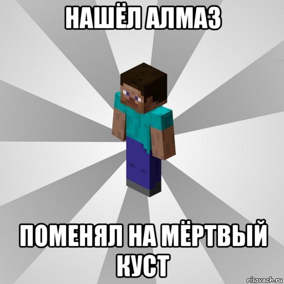 нашёл алмаз поменял на мёртвый куст, Мем Типичный игрок Minecraft