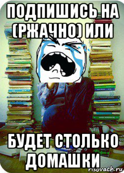 подпишись на (ржачно) или будет столько домашки, Мем Типовий десятикласник