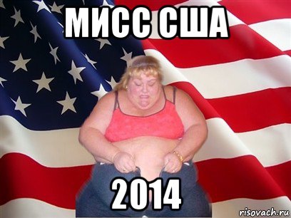 мисс сша 2014, Мем Толстая американка