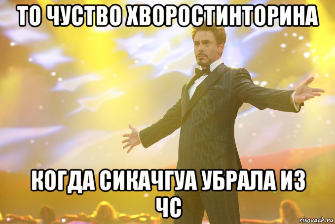 то чуство хворостинторина когда сикачгуа убрала из чс, Мем Тони Старк (Роберт Дауни младший)