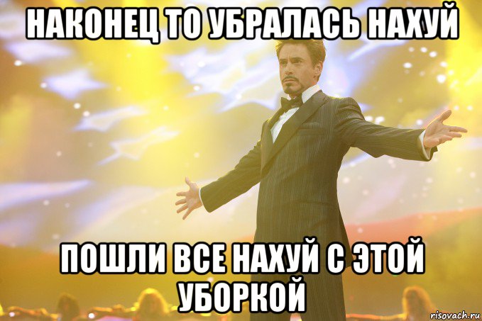 наконец то убралась нахуй пошли все нахуй с этой уборкой, Мем Тони Старк (Роберт Дауни младший)