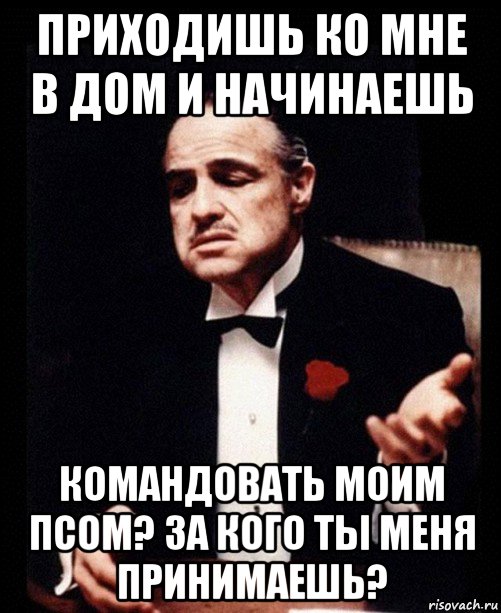 приходишь ко мне в дом и начинаешь командовать моим псом? за кого ты меня принимаешь?, Мем ты делаешь это без уважения