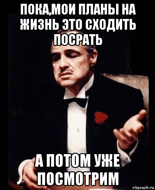 пока,мои планы на жизнь это сходить посрать а потом уже посмотрим, Мем ты делаешь это без уважения