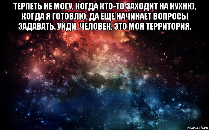 терпеть не могу, когда кто-то заходит на кухню, когда я готовлю, да еще начинает вопросы задавать. уйди, человек, это моя территория. , Мем Просто космос