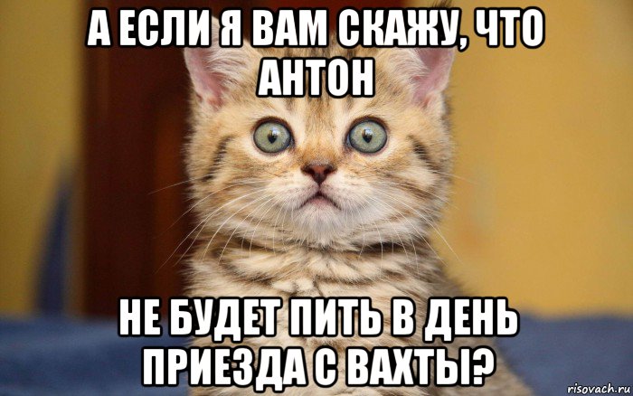 а если я вам скажу, что антон не будет пить в день приезда с вахты?