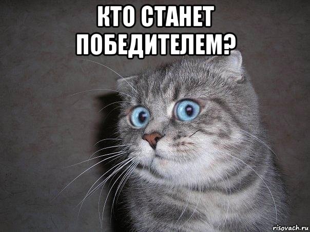 кто станет победителем? , Мем  удивлённый кот