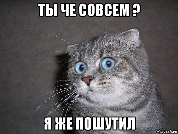 ты че совсем ? я же пошутил