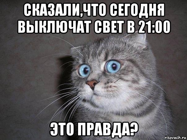 сказали,что сегодня выключат свет в 21:00 это правда?, Мем  удивлённый кот