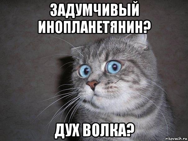 задумчивый инопланетянин? дух волка?, Мем  удивлённый кот