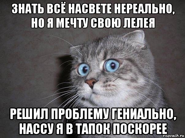 знать всё насвете нереально, но я мечту свою лелея решил проблему гениально, нассу я в тапок поскорее, Мем  удивлённый кот