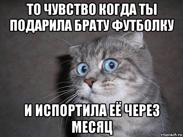 то чувство когда ты подарила брату футболку и испортила её через месяц, Мем  удивлённый кот