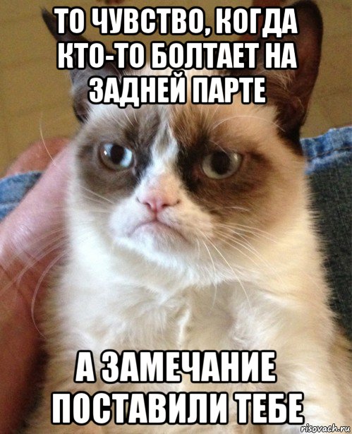 то чувство, когда кто-то болтает на задней парте а замечание поставили тебе, Мем Угрюмый кот