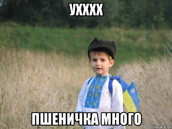 ухххх пшеничка много