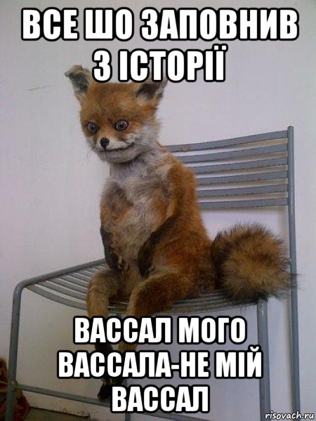 все шо заповнив з історії вассал мого вассала-не мій вассал, Мем Упоротая лиса