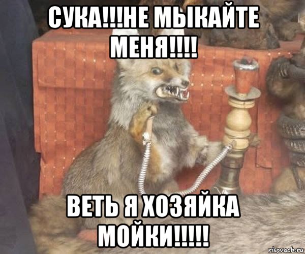 сука!!!не мыкайте меня!!!! веть я хозяйка мойки!!!!!, Мем Упоротый лис курит кальян