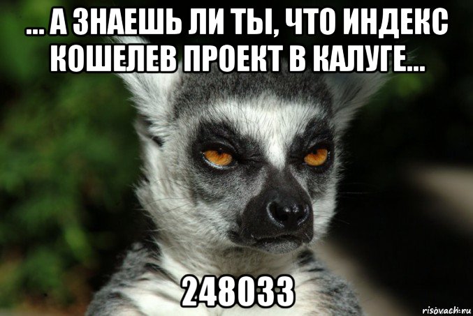 ... а знаешь ли ты, что индекс кошелев проект в калуге... 248033, Мем   Я збагоен