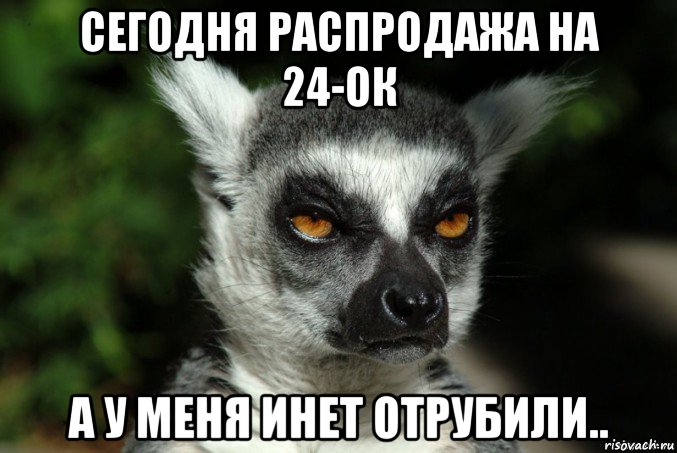 сегодня распродажа на 24-ок а у меня инет отрубили.., Мем   Я збагоен