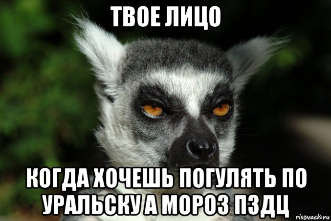 твое лицо когда хочешь погулять по уральску а мороз пздц, Мем   Я збагоен