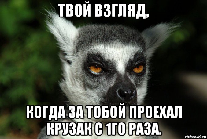 твой взгляд, когда за тобой проехал крузак с 1го раза., Мем   Я збагоен