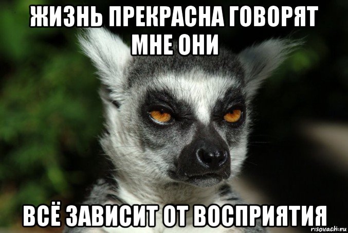 жизнь прекрасна говорят мне они всё зависит от восприятия, Мем   Я збагоен