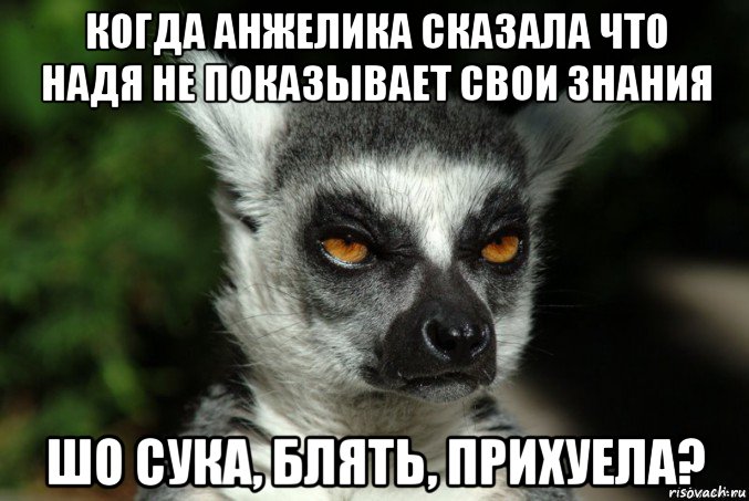 когда анжелика сказала что надя не показывает свои знания шо сука, блять, прихуела?, Мем   Я збагоен