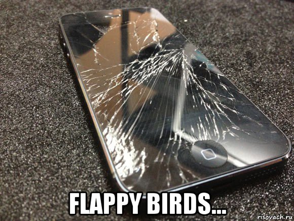  flappy birds..., Мем узбагойся