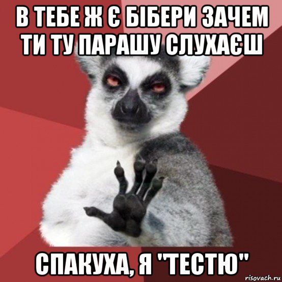 в тебе ж є бібери зачем ти ту парашу слухаєш спакуха, я "тестю", Мем Узбагойзя