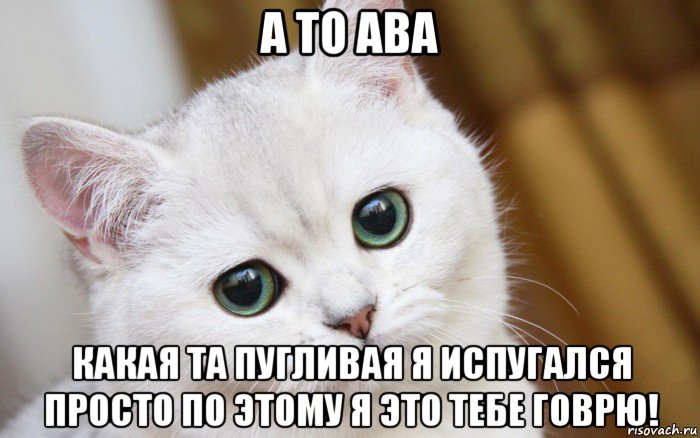 а то ава какая та пугливая я испугался просто по этому я это тебе говрю!, Мем  В мире грустит один котик