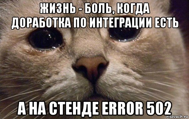 жизнь - боль, когда доработка по интеграции есть а на стенде error 502, Мем   В мире грустит один котик