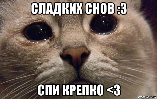 сладких снов :3 спи крепко <3, Мем   В мире грустит один котик