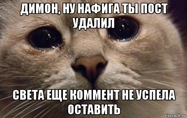 димон, ну нафига ты пост удалил света еще коммент не успела оставить, Мем   В мире грустит один котик