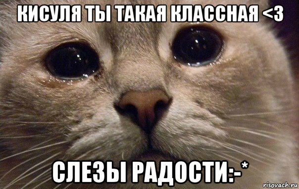 кисуля ты такая классная <3 слезы радости:-*, Мем   В мире грустит один котик