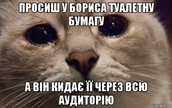 просиш у бориса туалетну бумагу а він кидає її через всю аудиторію, Мем   В мире грустит один котик