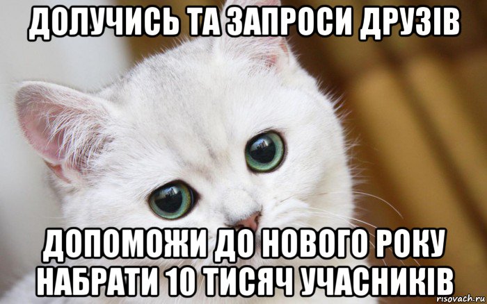 долучись та запроси друзів допоможи до нового року набрати 10 тисяч учасників, Мем  В мире грустит один котик