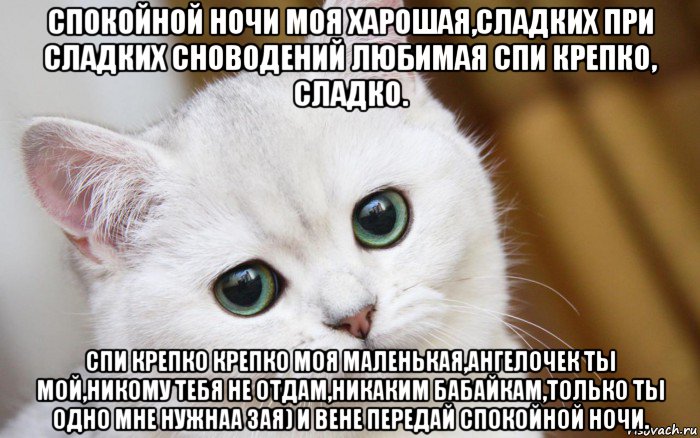 спокойной ночи моя харошая,сладких при сладких сноводений любимая спи крепко, сладко. спи крепко крепко моя маленькая,ангелочек ты мой,никому тебя не отдам,никаким бабайкам,только ты одно мне нужнаа зая) и вене передай спокойной ночи., Мем  В мире грустит один котик