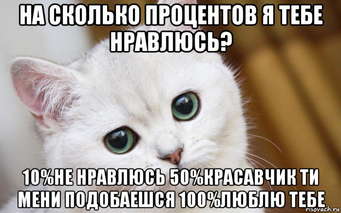 на сколько процентов я тебе нравлюсь? 10%не нравлюсь 50%красавчик ти мени подобаешся 100%люблю тебе, Мем  В мире грустит один котик