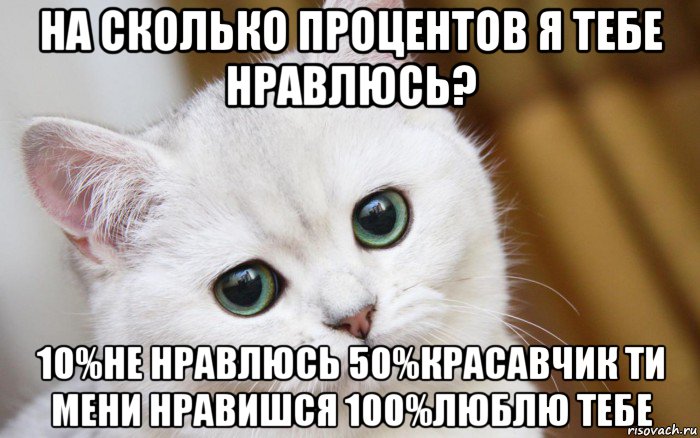 на сколько процентов я тебе нравлюсь? 10%не нравлюсь 50%красавчик ти мени нравишся 100%люблю тебе, Мем  В мире грустит один котик