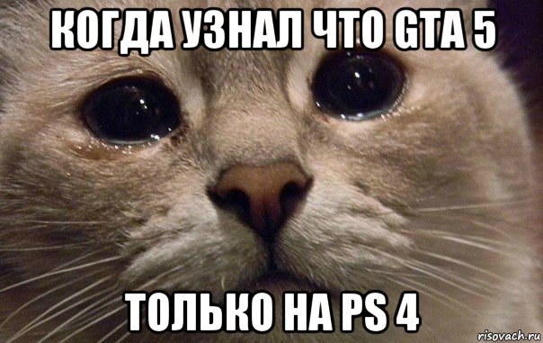 когда узнал что gta 5 только на ps 4, Мем   В мире грустит один котик