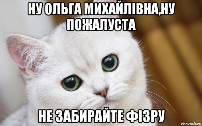 ну ольга михайлівна,ну пожалуста не забирайте фізру, Мем  В мире грустит один котик