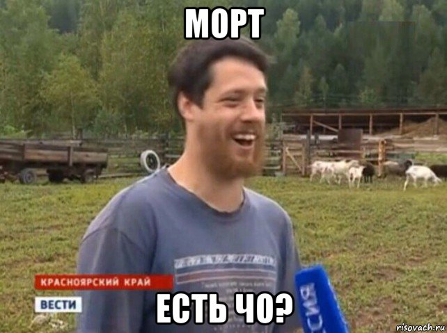 морт есть чо?